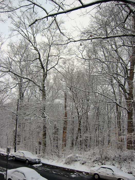 Glover Park in Winter